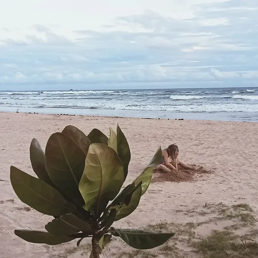 3BR Villa  for Rent in Beruwala -  LKR 225,000/Month