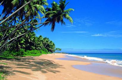 On the Beach Villa  for Sale in Wadduwa - 80 Perches - 5 Rooms -160Mn