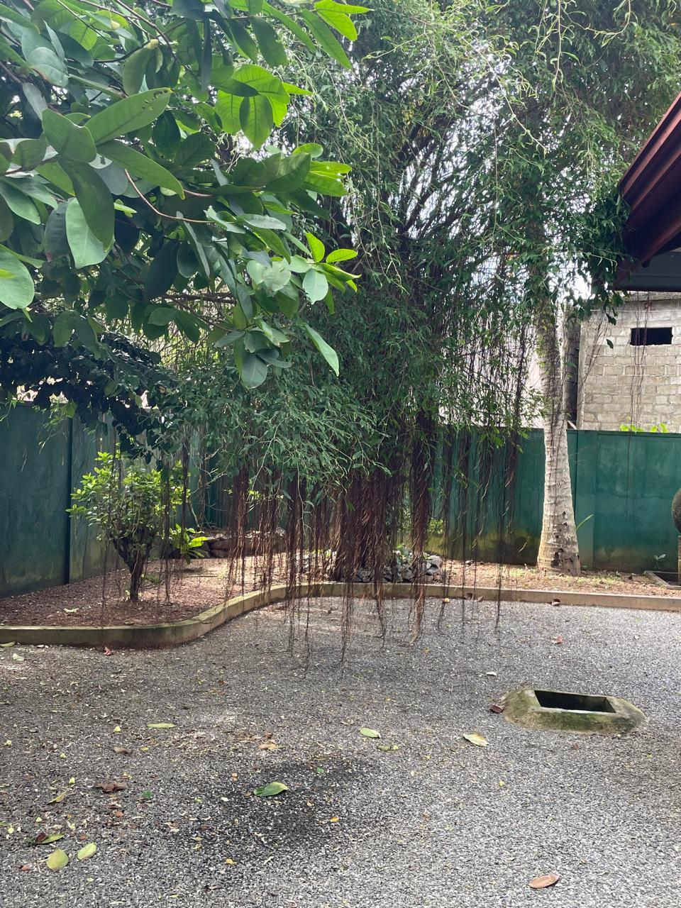 Beach View Colonial-Style House for Sale in Beruwala – 32 Perches | Rs. 46,000,000