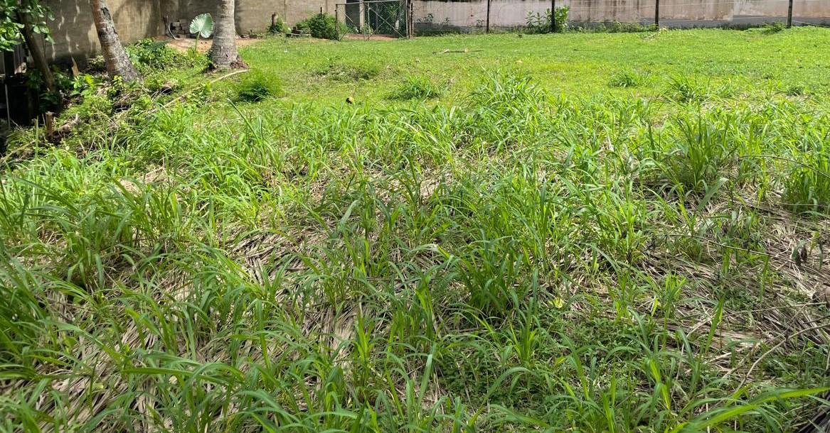 On the Beach Land for Sale in Beruwala – 34 Perches