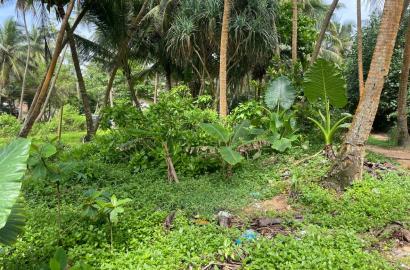 South Coast Bare Land for Sale – Ahangama-83 Perches- 1.2 Million Per Perch