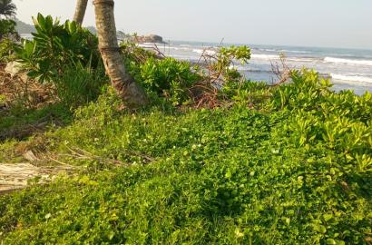 Beachfront Bare Land for Sale – Beruwala-25 Perches- 900,000 Per Perch