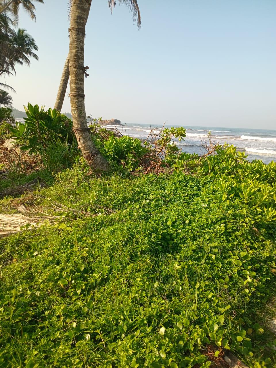 Beachfront Bare Land for Sale – Beruwala-25 Perches- 900,000 Per Perch