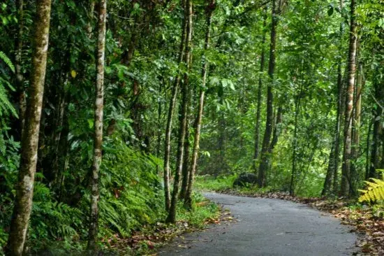 On The River Land for Sale In sinharaja forest - 3 Across - 32 Million