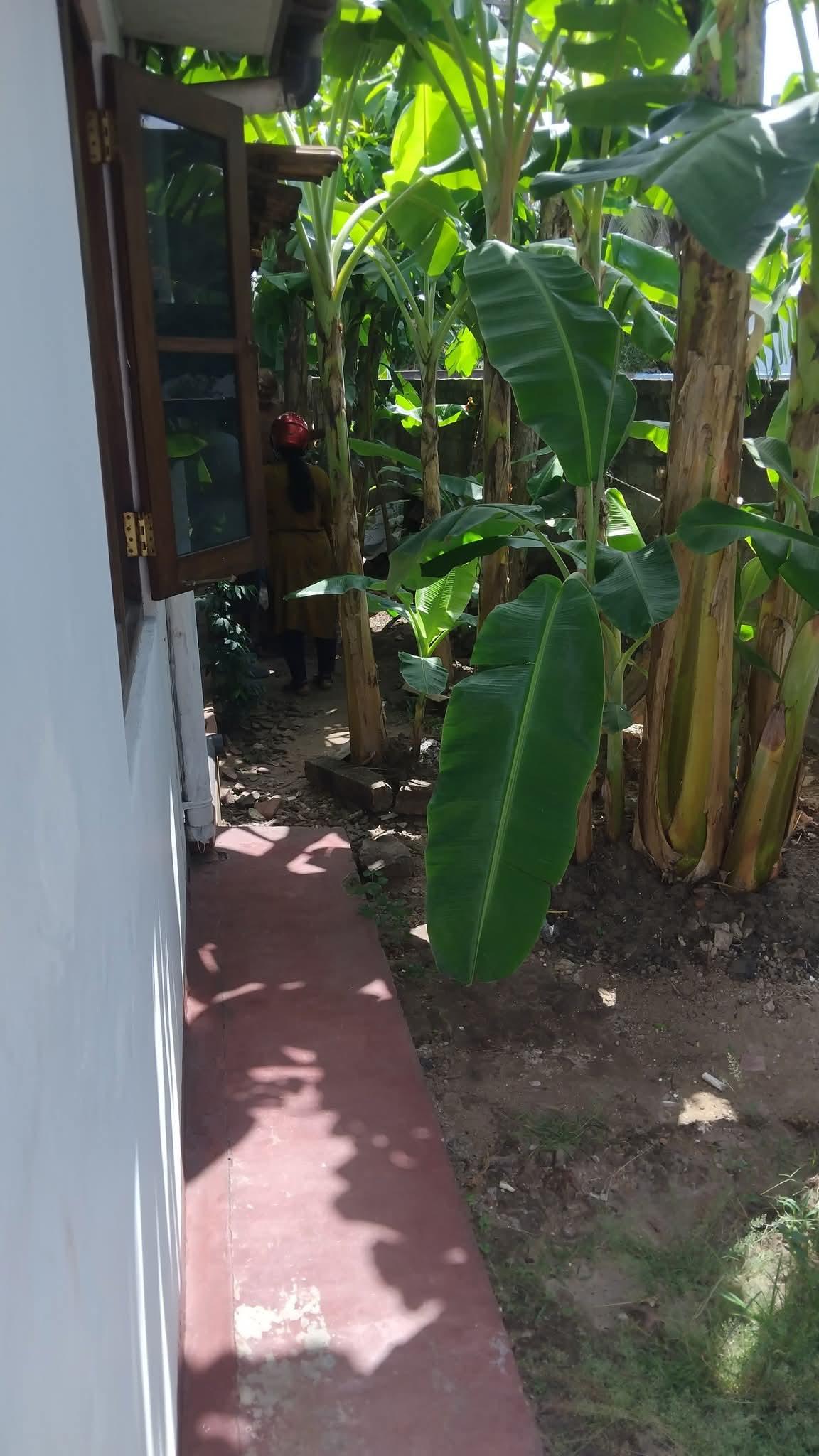 House for sale - BALAGALA