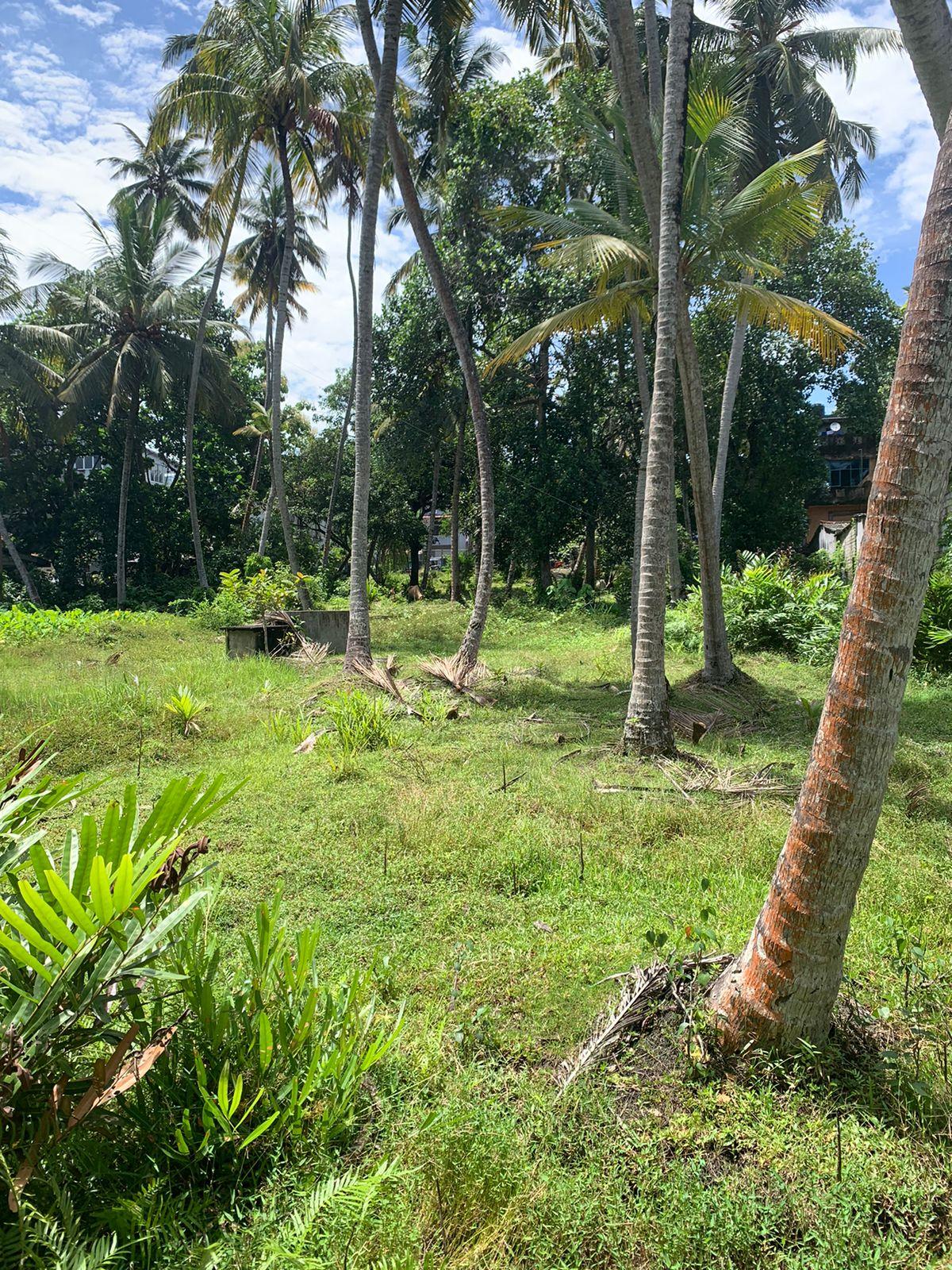 125 Perches Land for Sale in Panadura - Bolgoda River facing - 2 Mn per Perch