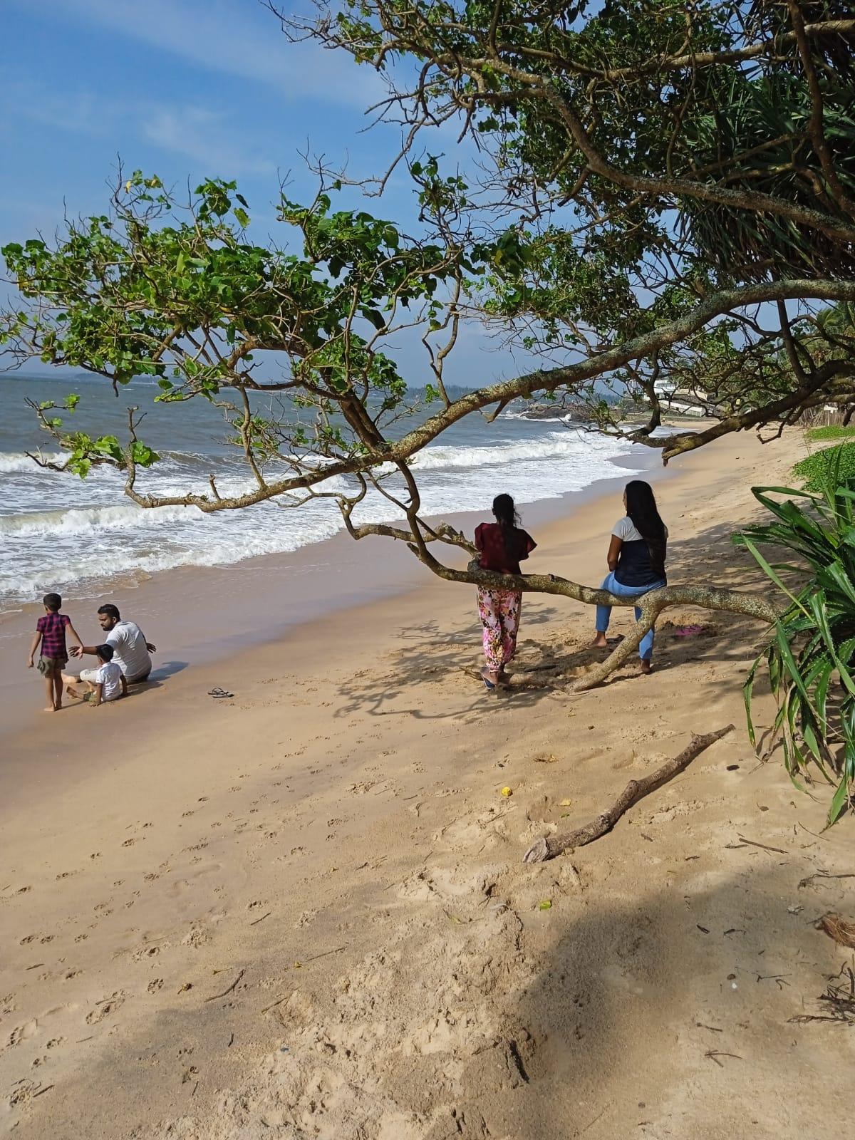 Beachfront Land for Sale in Beruwala -100 Perches - 1.5Mn PP
