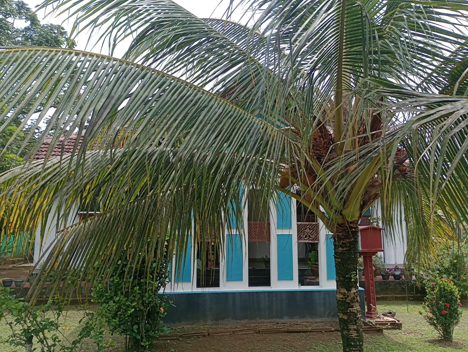 Colonial-Style House for Sale in Beruwala – Rs. 110 Million