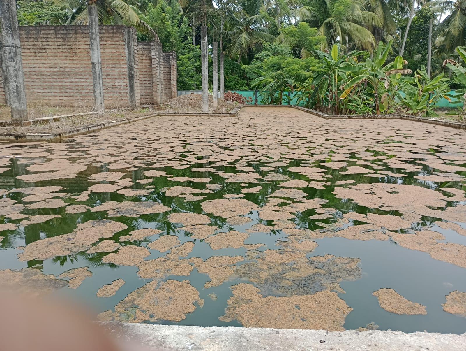 Colonial-Style House for Sale in Beruwala – Rs. 110 Million