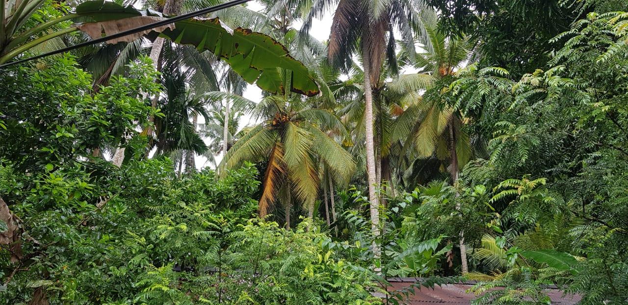 House with Land for Sale – Kahawatta  - 135 Perches - 26.5 Mn