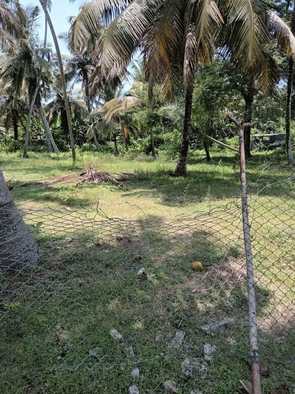 Land for Sale Uswattekeiyawa - 45 Perches - 6Lakhs Per Perch