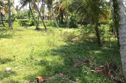 Land for Sale Uswattekeiyawa - 45 Perches - 6Lakhs Per Perch