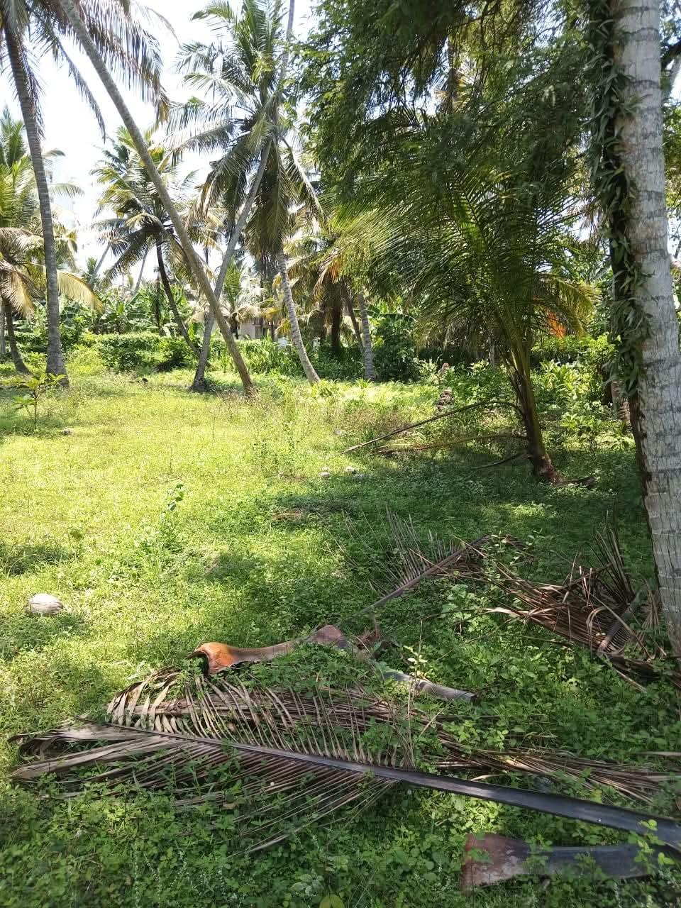 Land for Sale Uswattekeiyawa - 45 Perches - 6Lakhs Per Perch