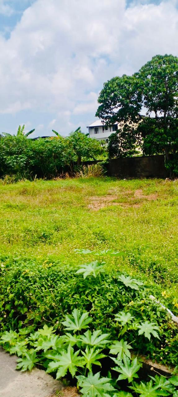 Prime 114.5P Commercial Land for Sale in Rajagiriya