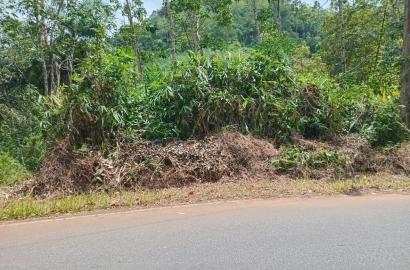 Prime Cultivated Land for Sale – Between Matugama & Agalawatte
