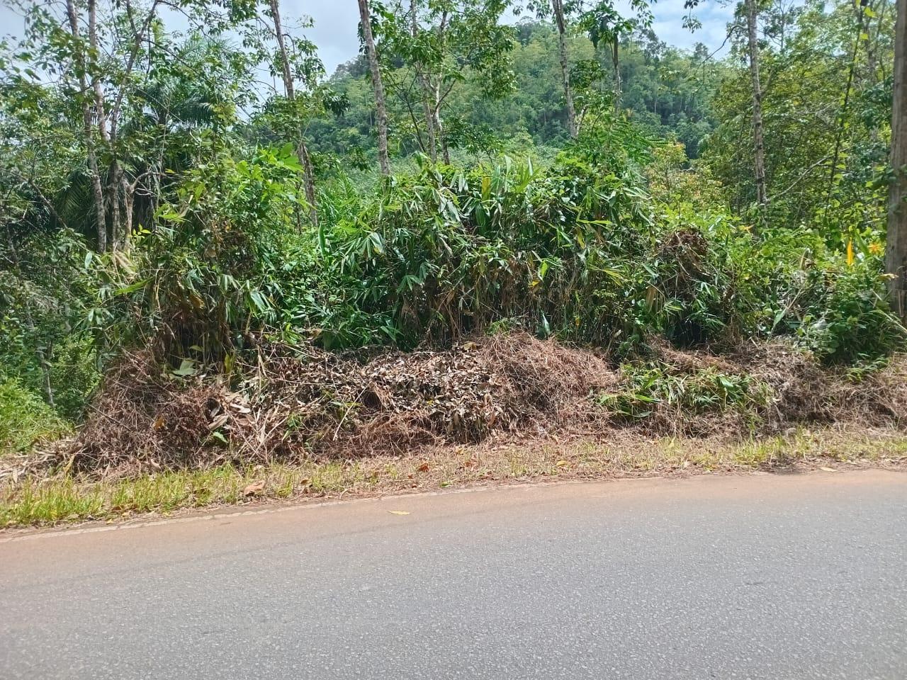 Prime Cultivated Land for Sale – Between Matugama & Agalawatte