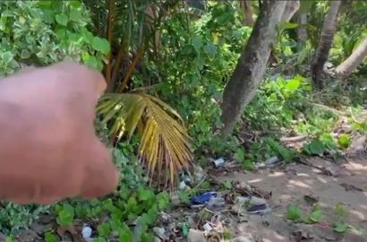 Beachfront Land for Sale – Beruwala