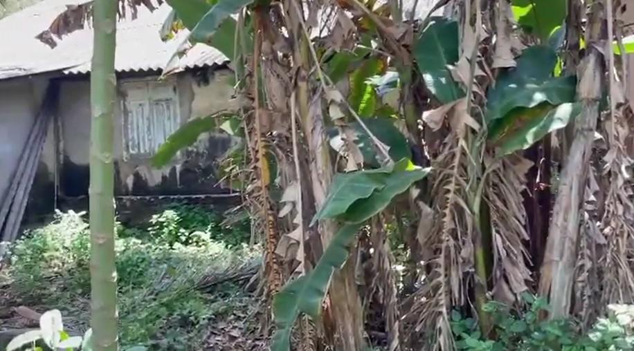 Beachfront Land for Sale – Beruwala