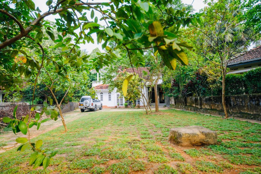 Villa for Rent - 3 BHK - Ahangama - 2,300USD per Month