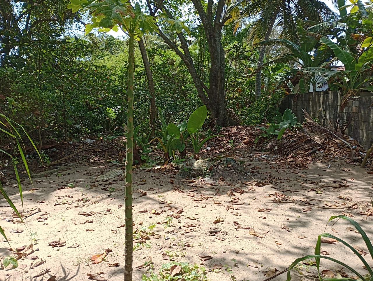 Beachfront Land for Sale – Beruwala